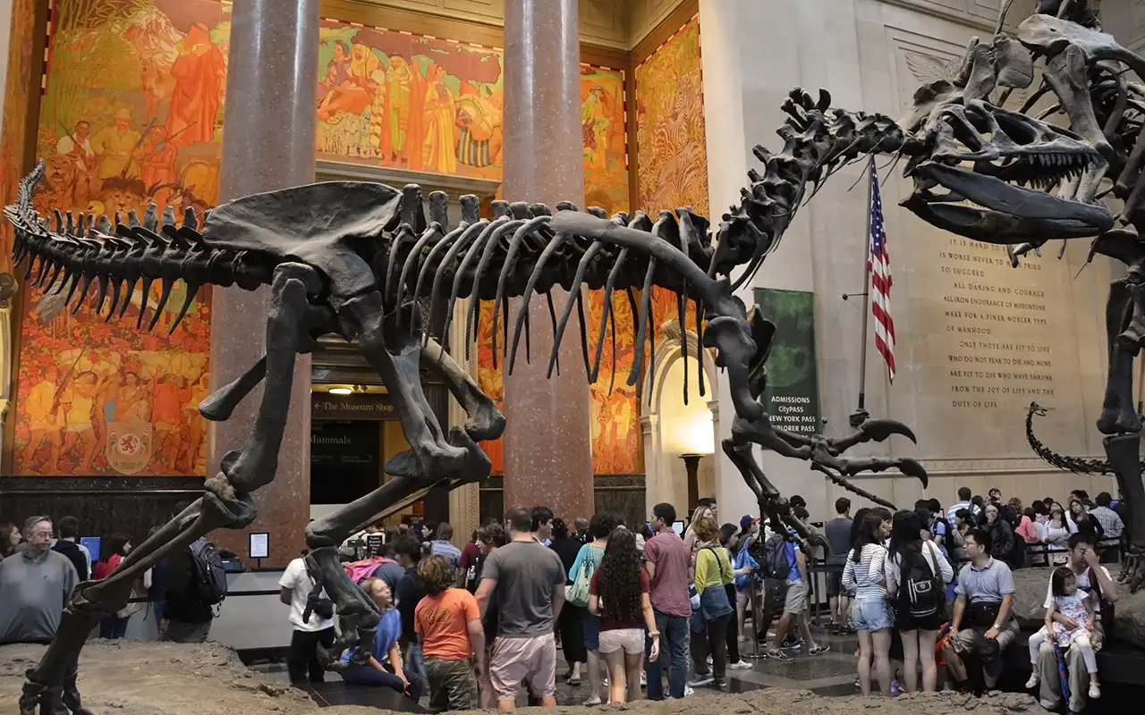 American Museum of Natural History - interior view with exhibits and visitors exploring the vast collections related to nature, science, and human cultures.