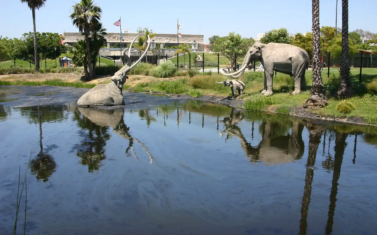 A view of the La Brea Tar Pits, a group of natural asphalt pools in Los Angeles, with prehistoric fossils on display.