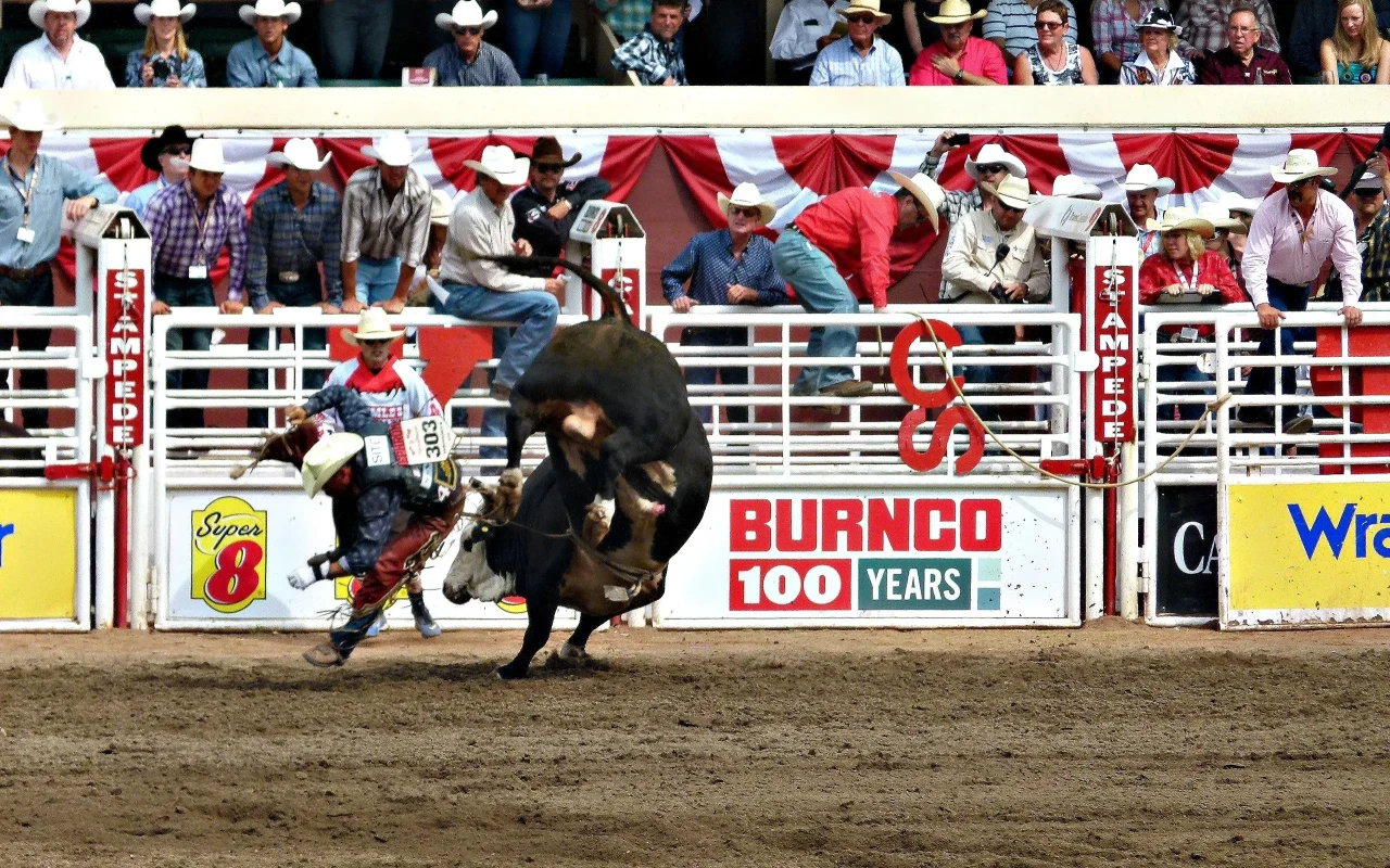 A vibrant scene at the Calgary Stampede, featuring energetic crowds, thrilling rodeo events, and festive Western-themed activities.