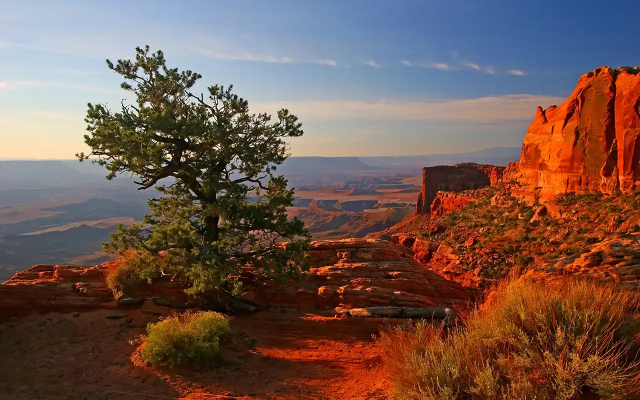Rugged Canyons of Canyonlands National Park