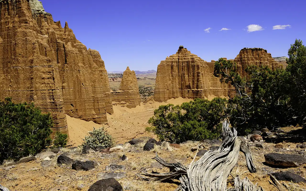 Unique Geology of Capital Reef National Park