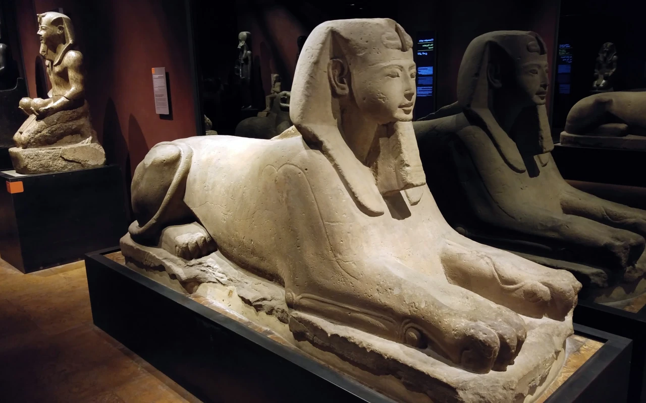 Interior of an Egyptian Museum featuring ancient artifacts and exhibits