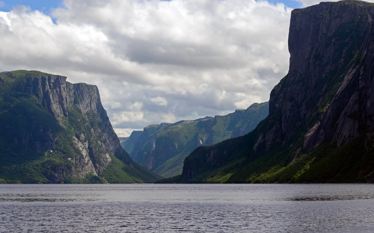 Scenic view of Gros Morne National Park with lush green forests and majestic mountains in the background