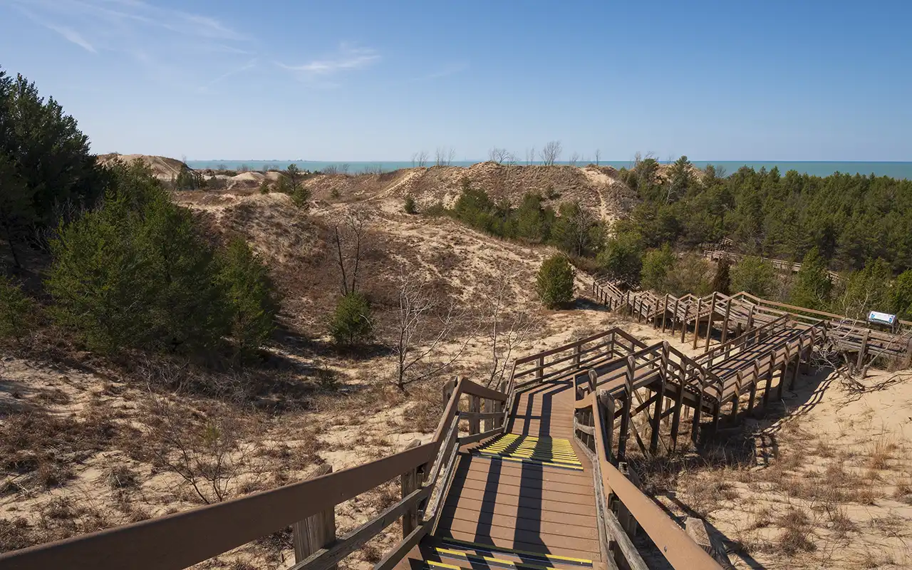 Coastal Dunes of Indiana Dunes National Park
