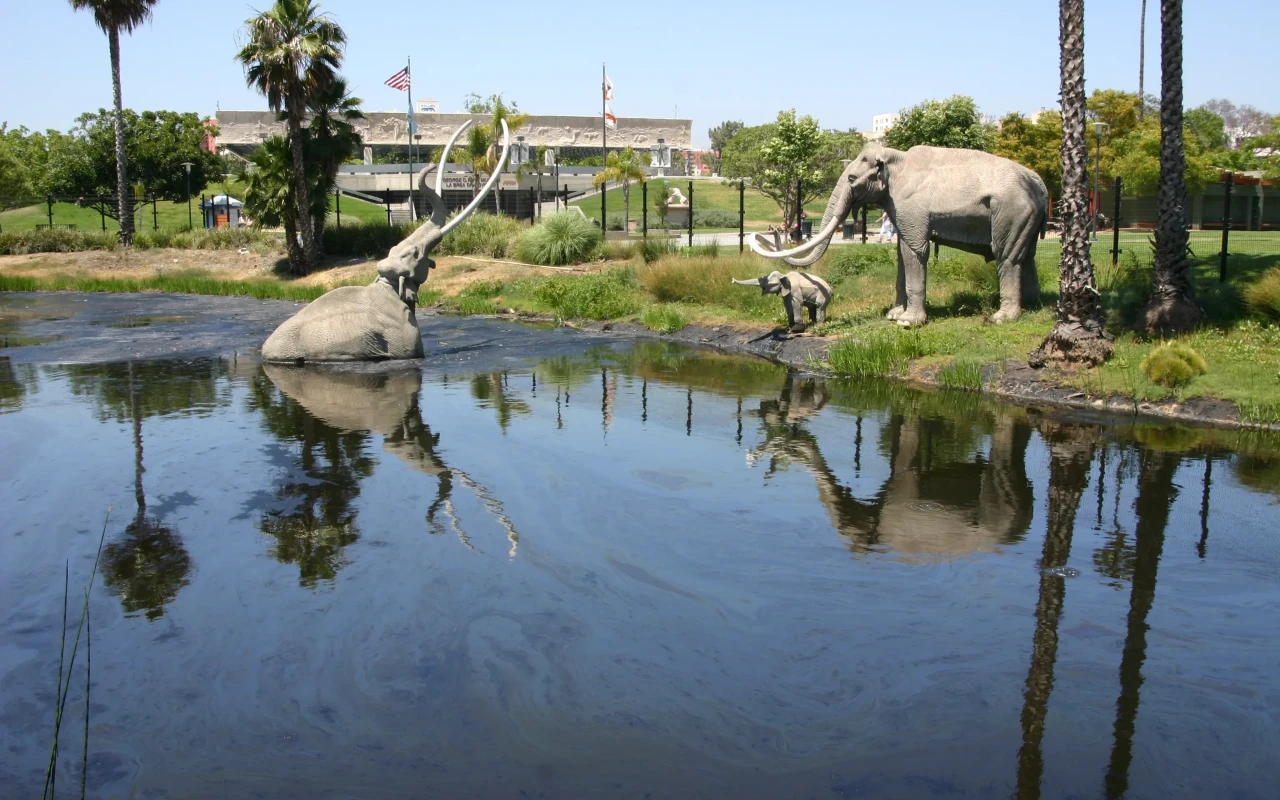 A view of the La Brea Tar Pits, a group of natural asphalt pools in Los Angeles, with prehistoric fossils on display.