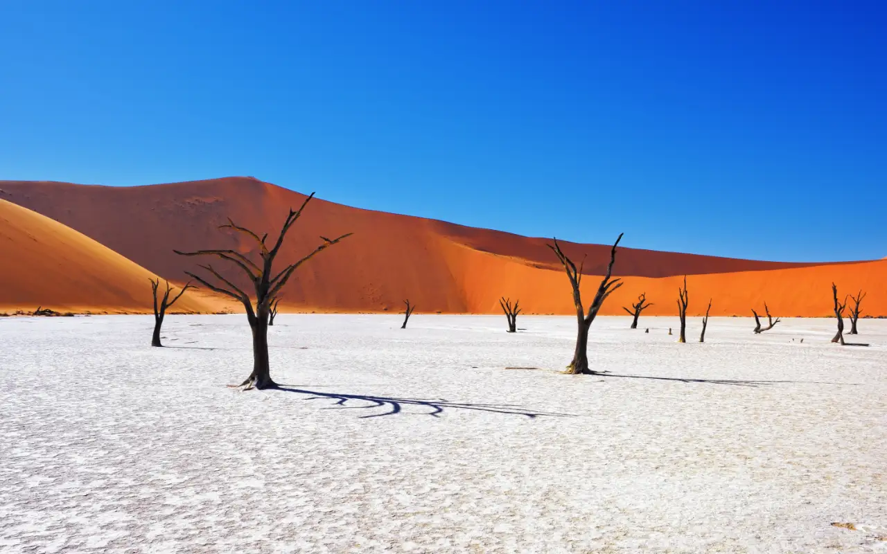 Scenic landscape of Namibia with its vast desert, unique wildlife, and beautiful skies