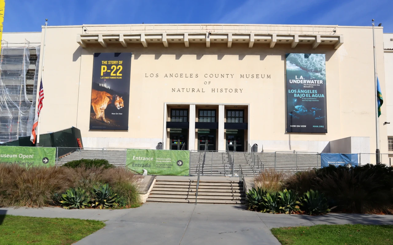 Explore the Natural History Museum of Los Angeles County: Discover Dinosaurs and More