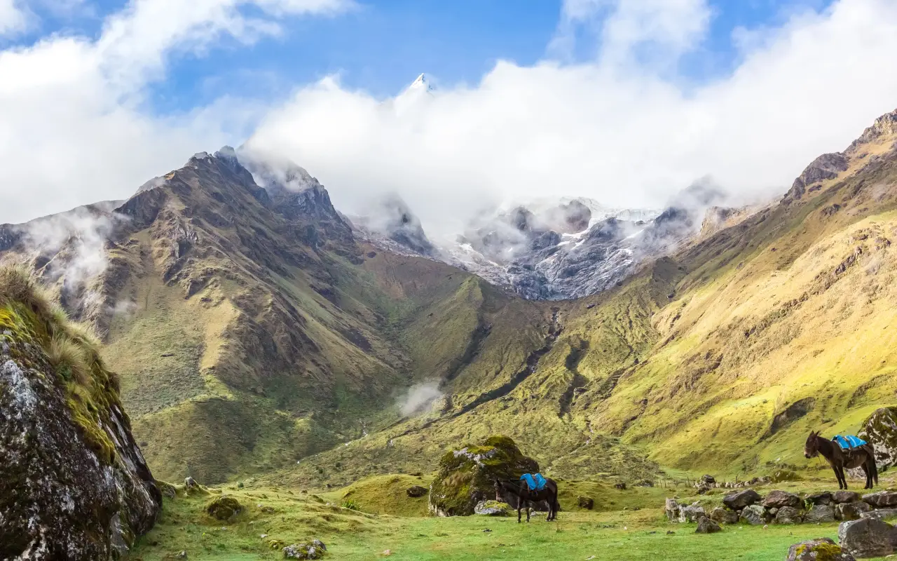 Majestic view of the Peruvian Andes with horses grazing