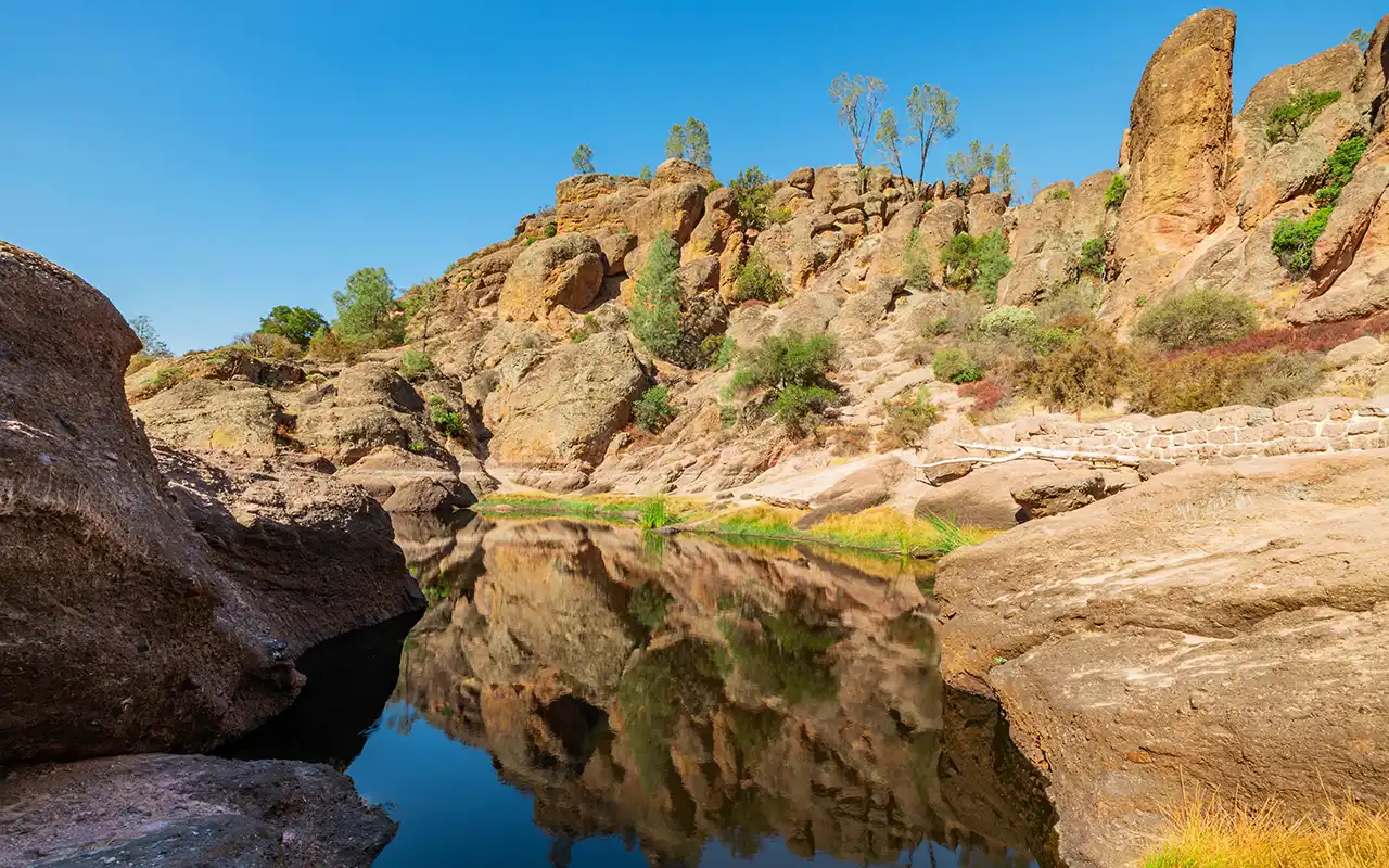 Unique Landscapes of Pinnacles National Park