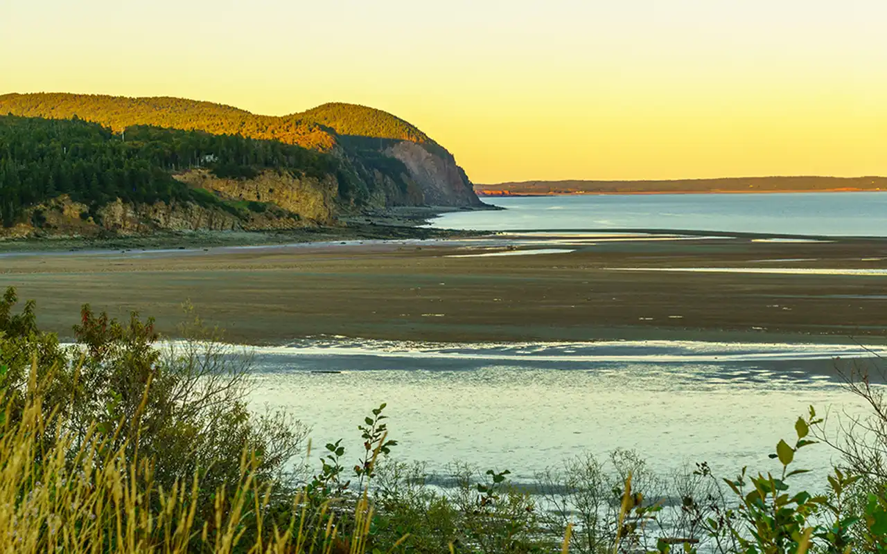 Coastal Beauty and Marine Life of Fundy National Park