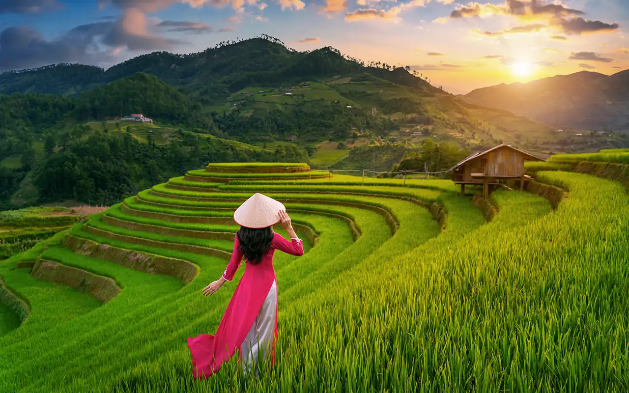 Image showcasing various activities and popular tourist spots as things to do in Vietnam