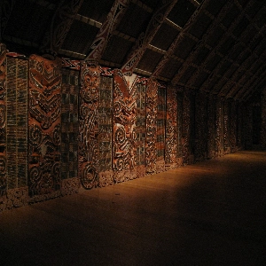 Auckland War Memorial Museum exterior view showing its historical architecture and surrounded by lush green gardens