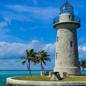 Aquatic Beauty of Biscayne National Park