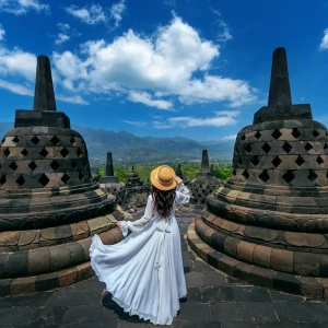 Visit Borobudur: The World