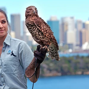 Visit Taronga Zoo: Experience Sydney