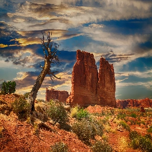 Scenic view of the stunning red rock formations in Bryce Canyon National Park, Utah