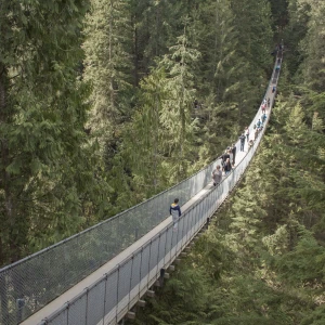 Capilano Suspension Bridge surrounded by lush greenery in British Columbia, Canada