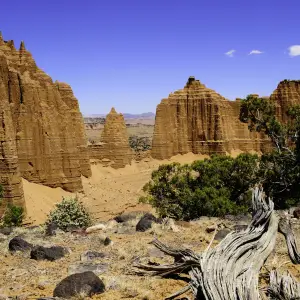 Unique Geology of Capital Reef National Park