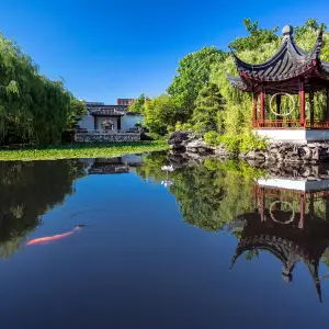 Tranquil Walks in Dr. Sun Yat-Sen Classical Chinese Garden