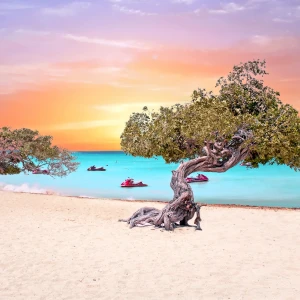 Visit Eagle Beach: Discover Aruba