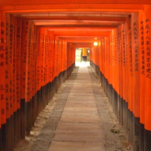A stunning view of Fushimi Inari Taisha, the iconic Japanese Shinto shrine with vibrant orange torii gates and lush greenery surrounding it