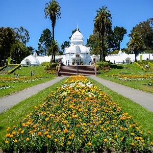Golden Gate Park with lush greenery and beautiful landscape