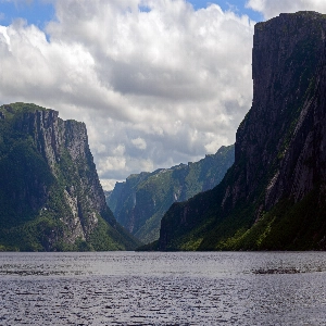 Scenic view of Gros Morne National Park with lush green forests and majestic mountains in the background