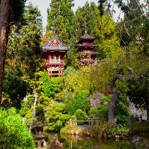 Serene Japanese tea garden with lush greenery, stepping stones, and a tranquil pond
