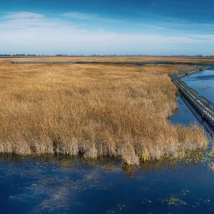 Scenic view of Kejimkujik National Park with lush green trees and clear blue lake