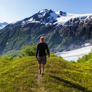 Pristine Wilderness of Kenai Fjords National Park