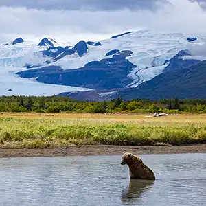 Alaskan Wilderness of Lake Clark National Park