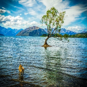 Serene view of Lake Wanaka with surrounding mountain peaks and clear blue water.