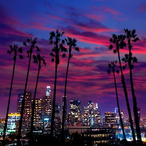 Aerial view of the Los Angeles skyline with palm trees and mountains in the background