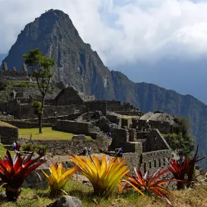 Exploring the Ancient Ruins of Machu Picchu, Peru Machu Picchu ruins with vibrant flowers in the foreground and mountains in the background