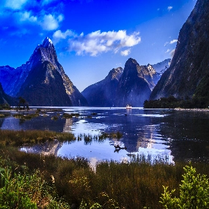 A stunning view of Milford Sound with majestic mountains, lush greenery, and crystal clear waters