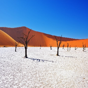 Scenic landscape of Namibia with its vast desert, unique wildlife, and beautiful skies