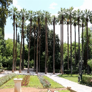 National Garden Of Athens in Greece - a public park in the heart of Athens, featuring lush gardens, ancient ruins, and a small zoo, offering a peaceful escape from the bustling city and a glimpse into the natural beauty of Greece.
