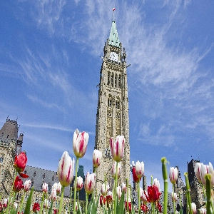 Scenic view of Ottawa, Canada with the Parliament buildings in the background