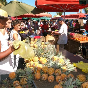 Visit Réunion: A Volcanic Island in the Indian Ocean