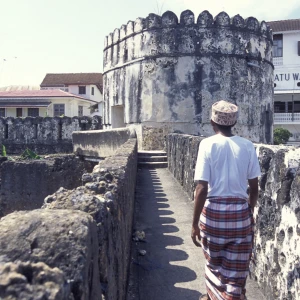Scenic view of the historic Stone Town in Zanzibar