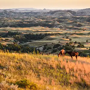 Rugged Beauty of Theodore Roosevelt National Park