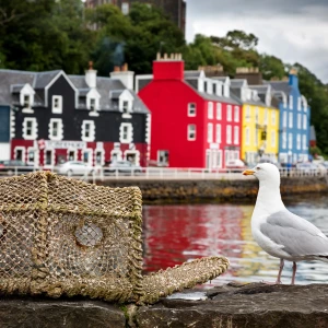 Explore the Isle of Mull: A Scenic Scottish Island