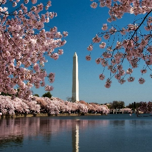 Monumental History of The Washington Monument