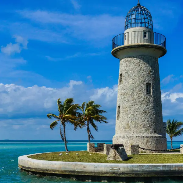 Aquatic Beauty of Biscayne National Park