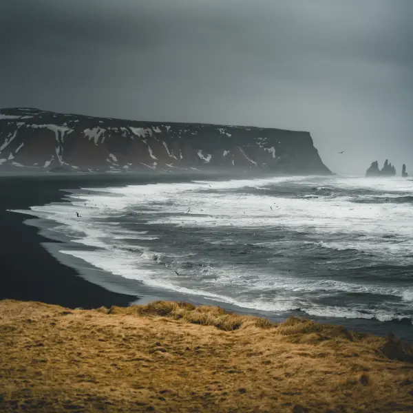Walk on the Black Sand Beach of Reynisfjara: A Dramatic Icelandic Landscape