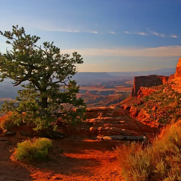 Rugged Canyons of Canyonlands National Park