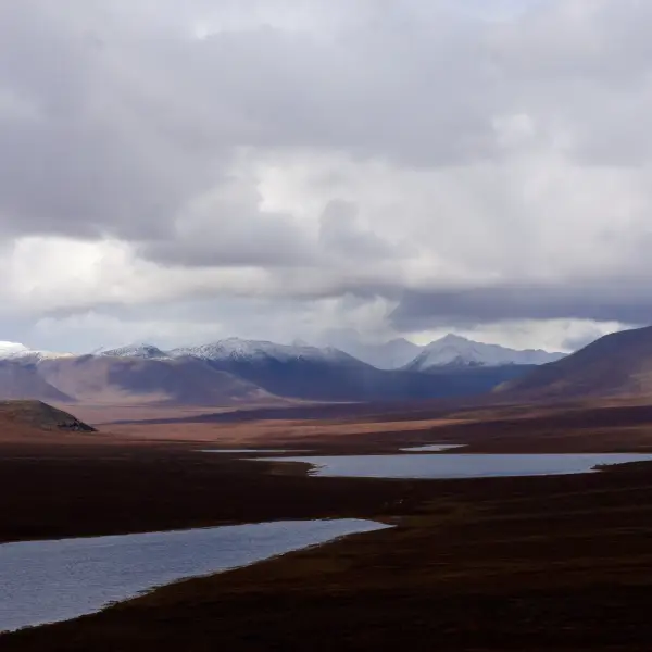 Arctic Wilderness of Gates of the Arctic National Park