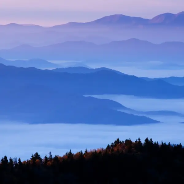 Scenic view of Great Smoky Mountains National Park with lush green forests and misty mountain peaks