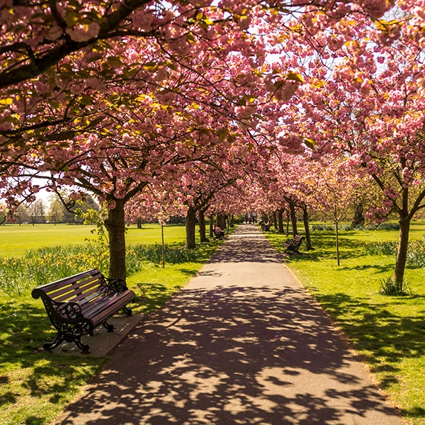 Hyde Park, green oasis in the heart of London with lush trees, beautiful flowers, and people enjoying leisure time