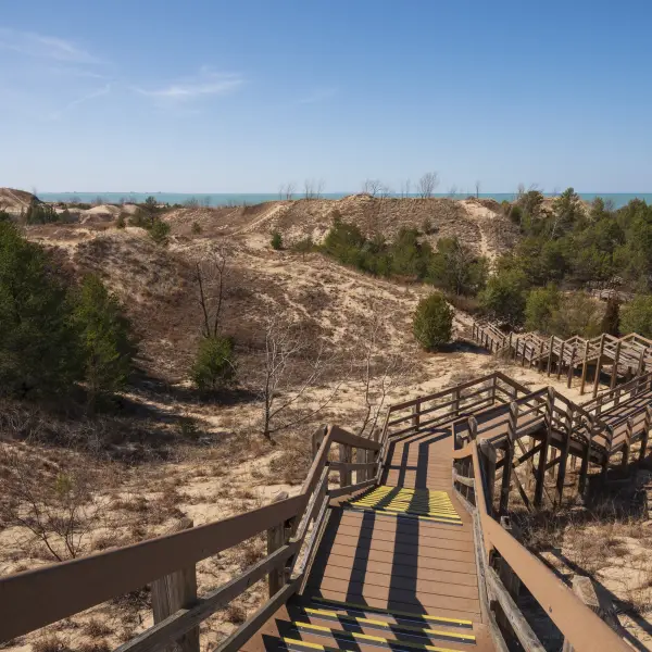 Coastal Dunes of Indiana Dunes National Park